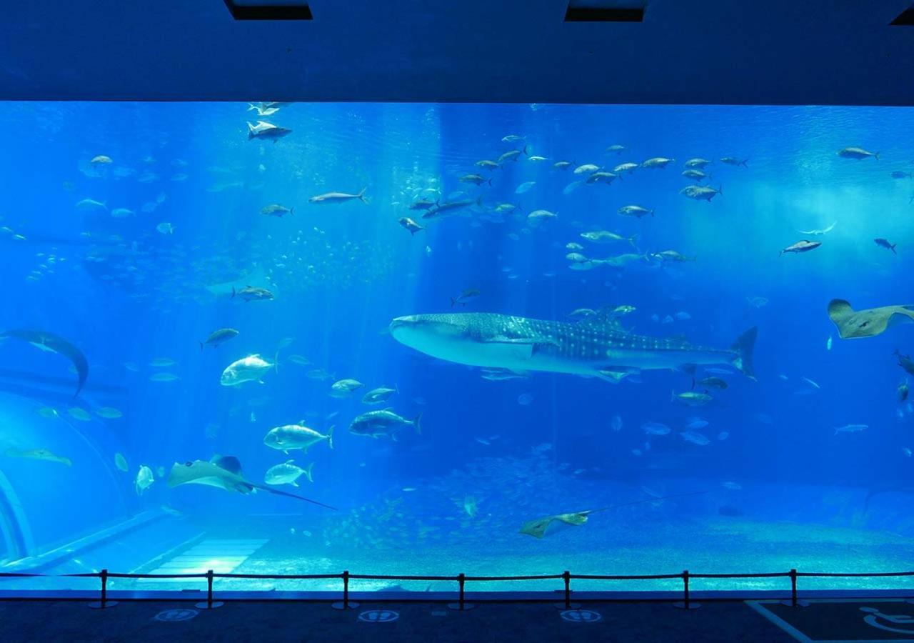 Hotel Mahaina Wellness Resorts Okinawa Eksteriør billede